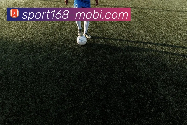 168体育APP 高清赛事图